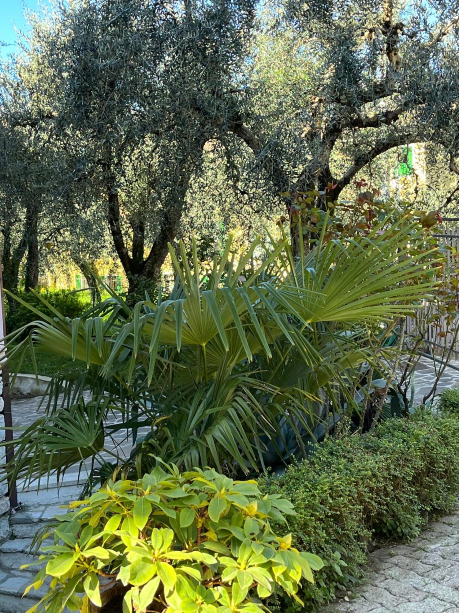 Appartement Casa Noario à Malcesine Extérieur photo